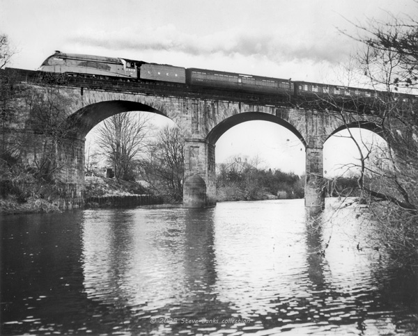 Click for full size image in a pop-up window. Use 'X' to close Click for full size image in a pop-up window. Use 'X' to close