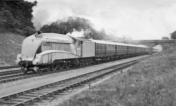 Click for full size image in a pop-up window. Use 'X' to close Click for full size image in a pop-up window. Use 'X' to close