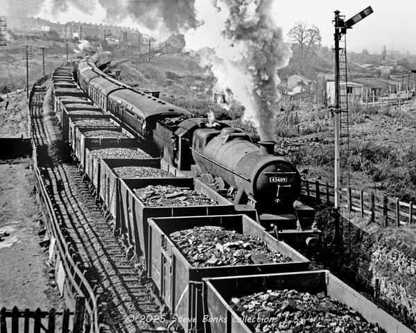 Click for full size image in a pop-up window. Use 'X' to close