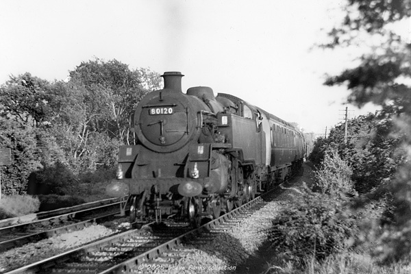 Click for full size image in a pop-up window. Use 'X' to close